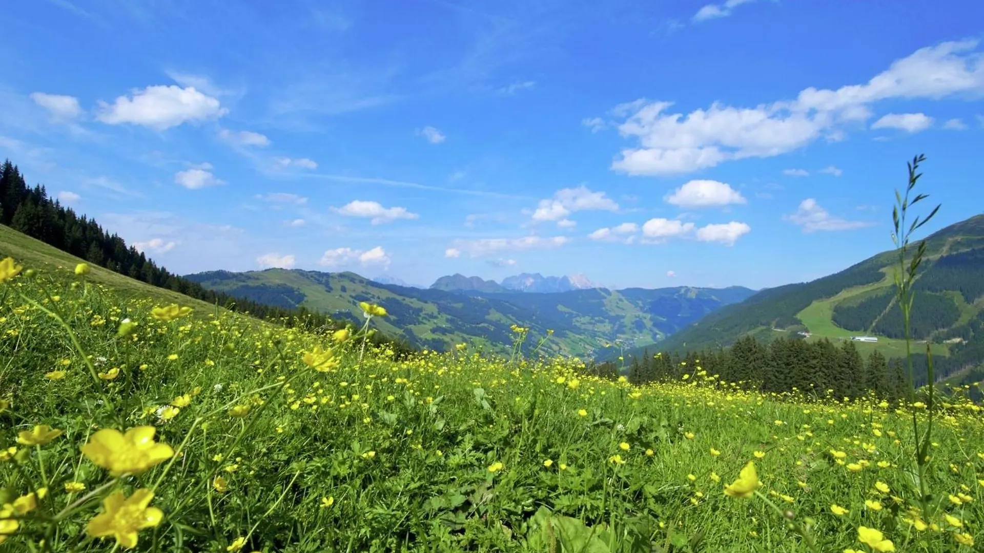 Chalet Apartment In Saalbach Hinterglemm  זאלבך הינטרגלם